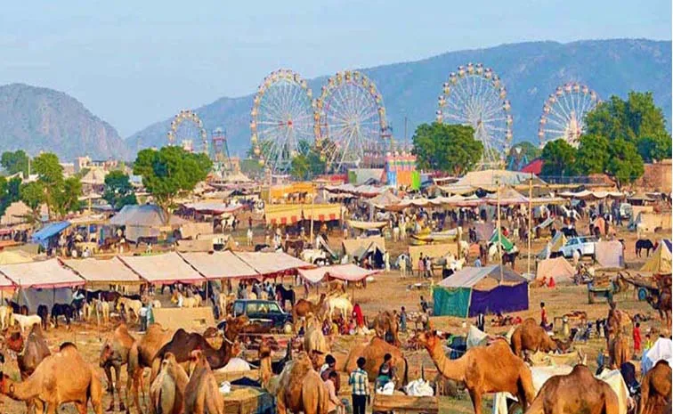 Pushkar Fair Locally Kartik Mela  Ajmer City