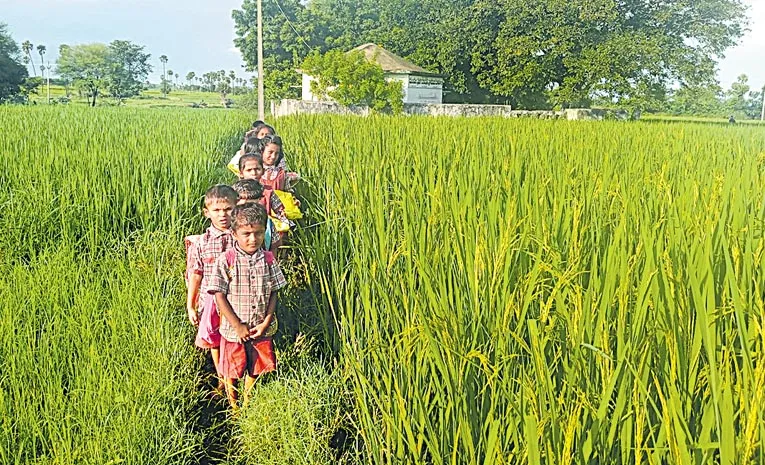 students daily farm embankment to school