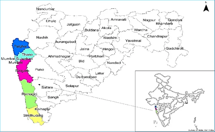 Maharashtra Assembly elections 2024: Coastal belt 75 seats crucial for power shift