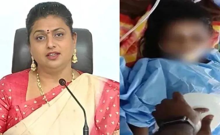 Ex Minister Roja Serious Comments On Chandrababu And Anitha