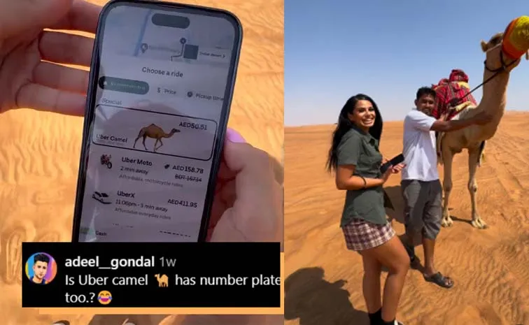 Woman Stuck In Dubais Desert Orders Camel Via Uber