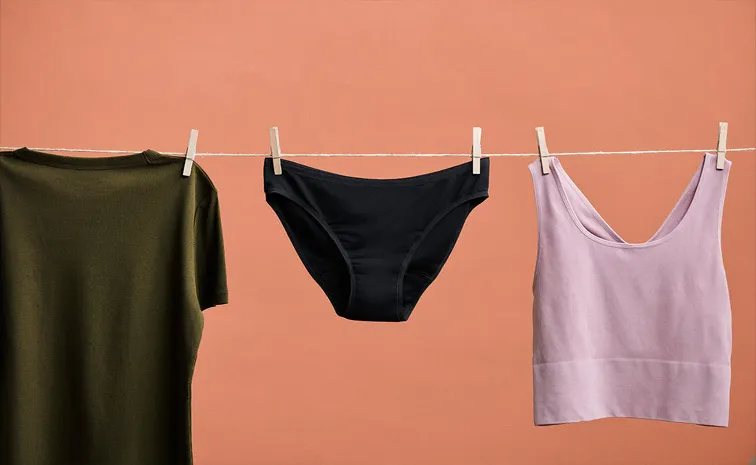 Womens Undergarments are Disappearing from Homes