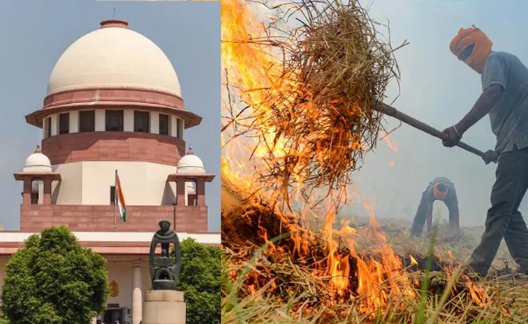 Supreme Court Raps Punjab, Haryana Over Stubble Burning