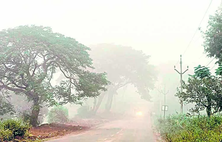 Chintapalli forest area is surrounded by cold winds early