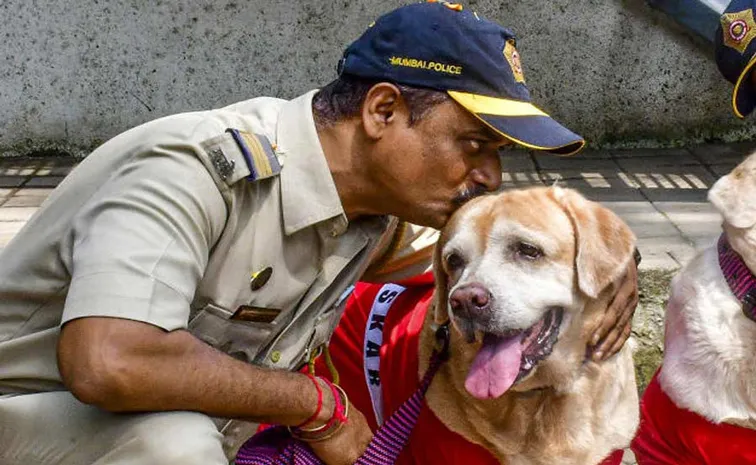 Mumbai Police dog Oscar Reataired