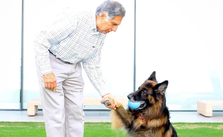 Ratan Tata includes pet dog Tito in his Rs 10000 crore will