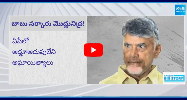 Special Story On Chandrababu And TDP Leaders Rowdyism