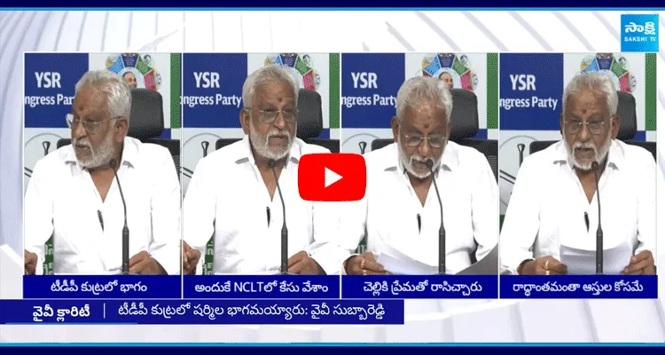 YV Subbareddy Fires On Sharmila And Chandrababu