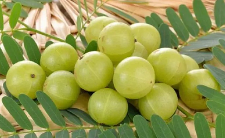 Nutrition Benefits of amla for Hair and Skin