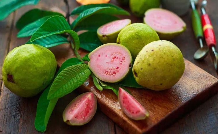 Amazing Health Benefits Of Guava Fruit