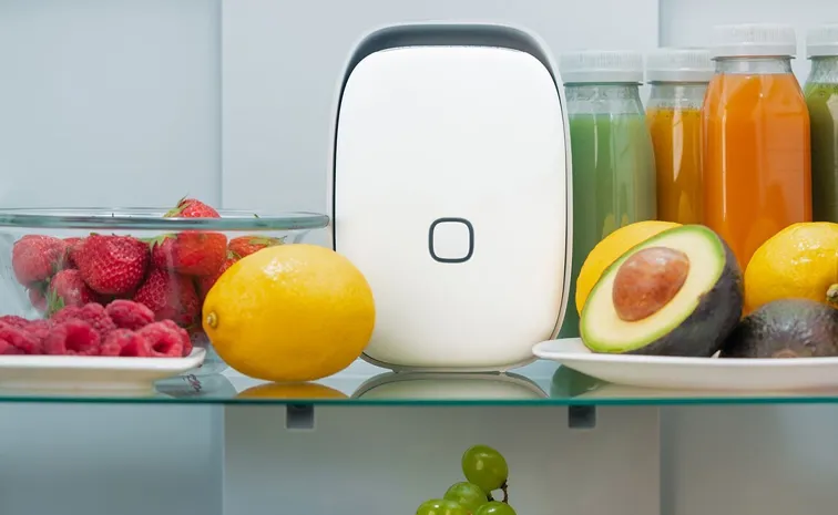 Vitesy Shelfy Smart Refrigerator Details