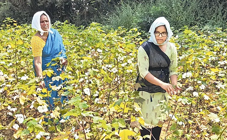 young woman who could not afford to study medicine