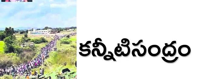 పుంగన