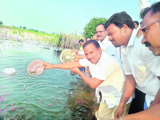 మత్స్