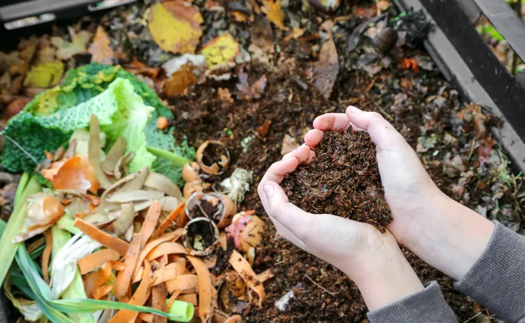 How to make compost at home with waste