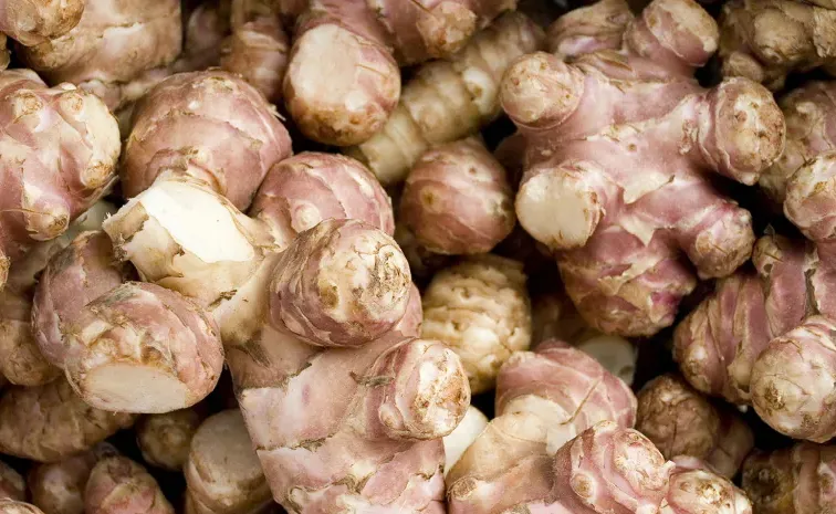 Interesting facts about Crunchy and Healthy Sunchokes