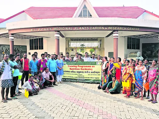 పౌష్టికాహారంతో సంపూర్ణ ఆరోగ్యం 