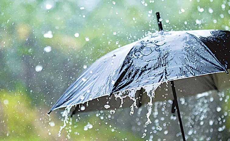 Light to moderate rain likely in Andhra pradesh