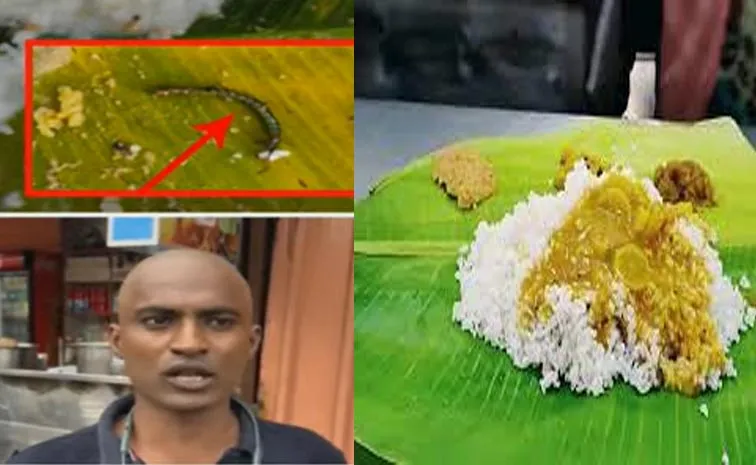 Centipede Appeared In Tirumala Anna Prasadam