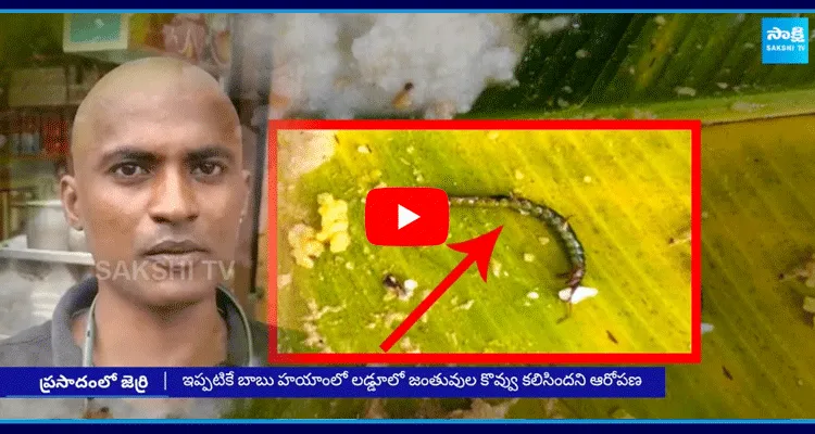  Insects In Tirumala Anna Prasadam