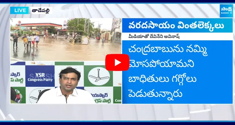 Devineni Avinash Shocking Comments On Chandrababu Government