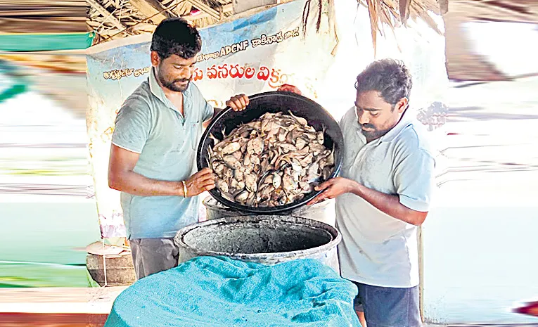rotten fish Meenamrutham the best nutrition for corps