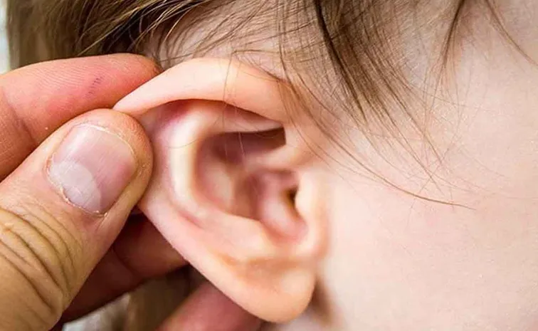 Daughter-in-law Bites Mother-in-law Ear In Guntur