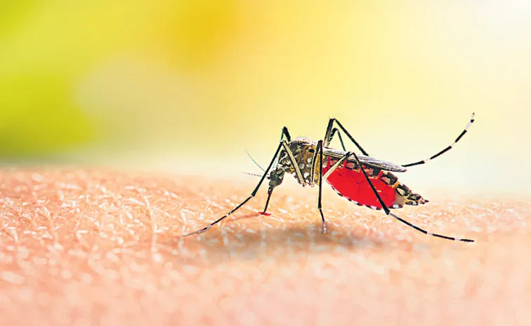 Dengue and toxic fever cases rising in Telangana