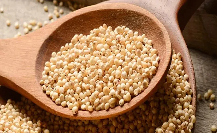 Jowar Health benefits And Weight Loss : Quick Recipes