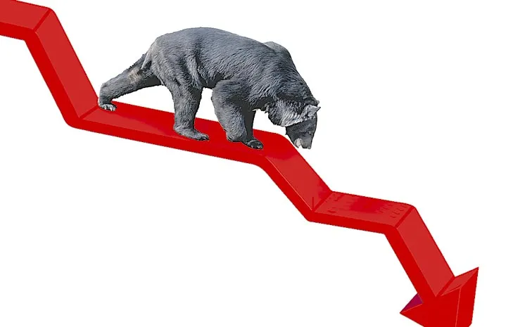 Nifty Breaks Below 24000: Sensex Falls 79000 level