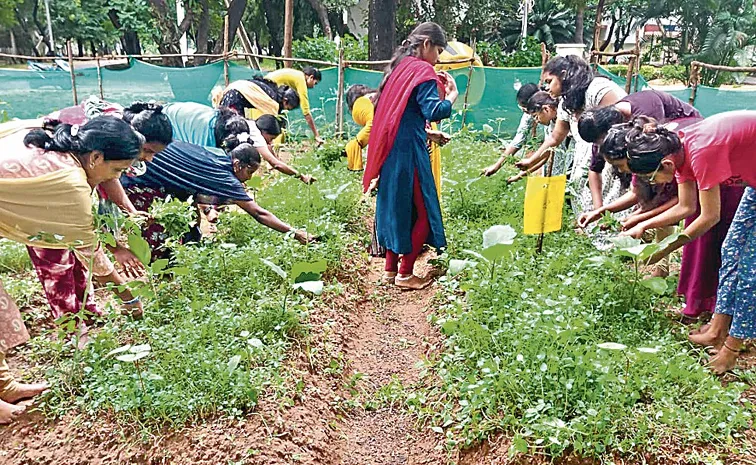 Family Farming: Nature Farming Training for Students