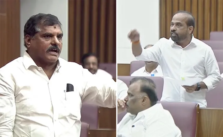 Minister Satya Kumar Over Action For YSRCP MLC Questions In Assembly