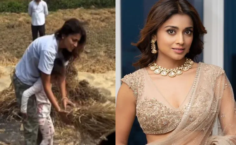 Shriya Saran Threshing Paddy In Field With Her Daughter