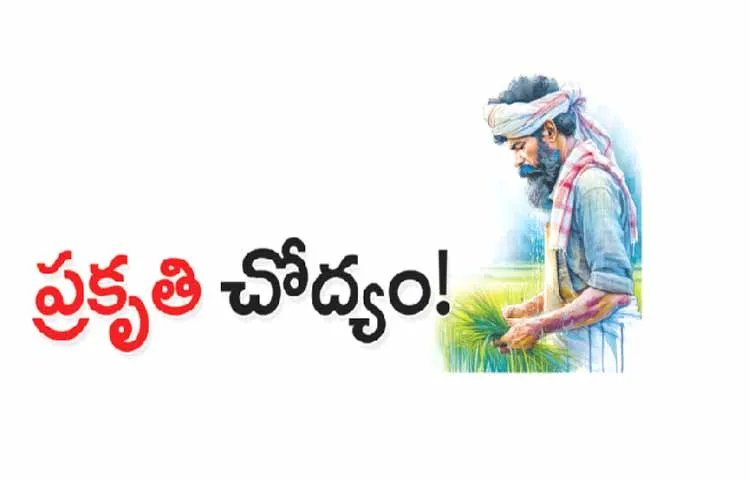 ప్రకృతి చోద్యం!