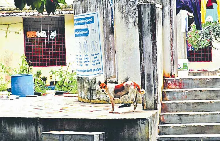 Lack of protection in welfare hostels