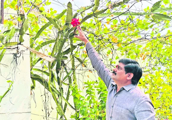 చుట్టుపక్కల విస్తరించడం ఆనందంగా ఉంది.. 
