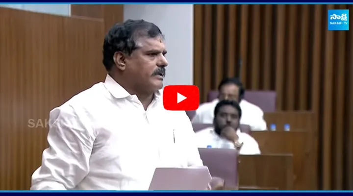 MLC Bosta Satyanarayana Slams to Chandrababu Govt 