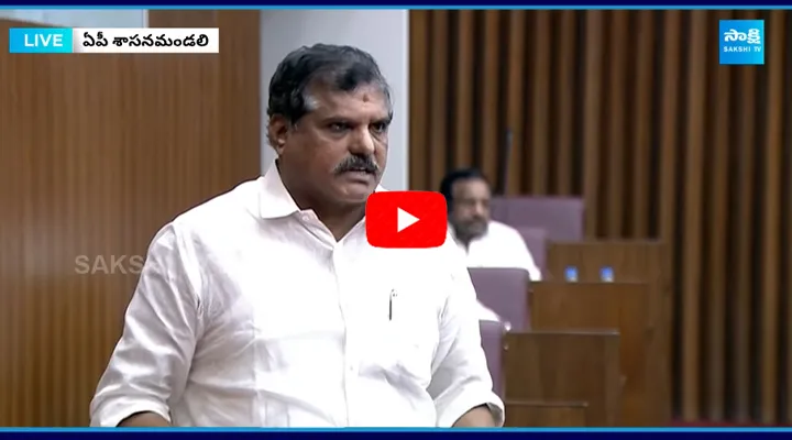 Council Chairman About MLC Botsa Satyanarayana