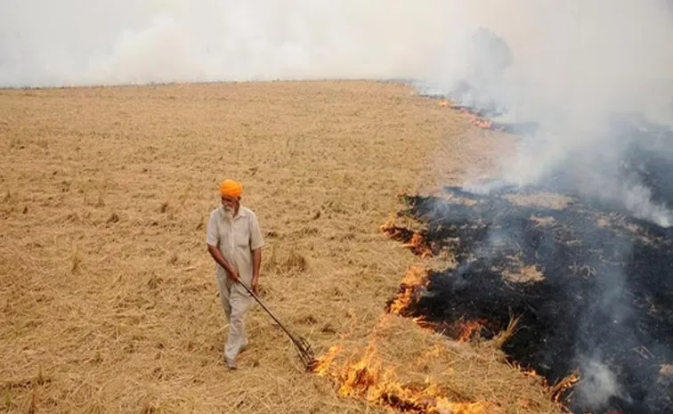 More than 400 Incidents of Stubble Burning took Place in Punjab