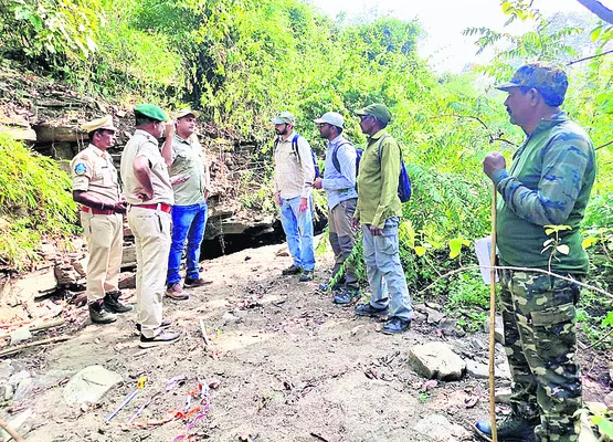 పెద్దపులి