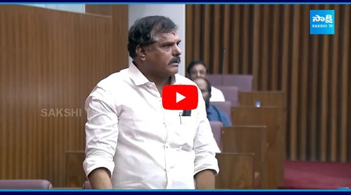 Botsa Satya Narayana Counter To Atchannaidu In Assembly Legislative Council