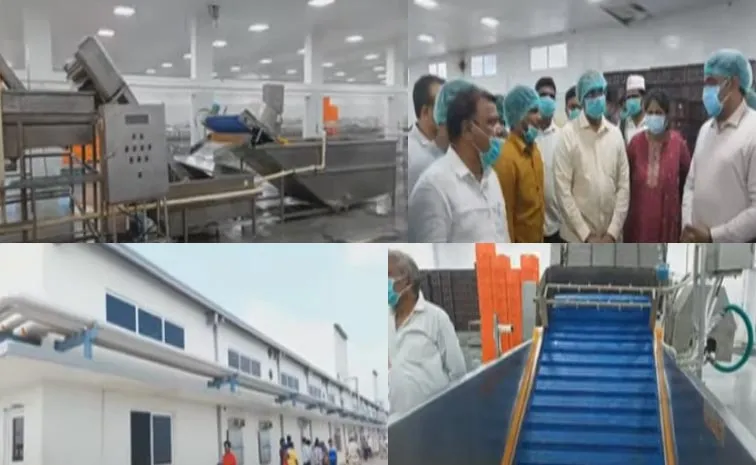 Toxic Gas Leak At Shrimp Processing Unit In Nizampatnam