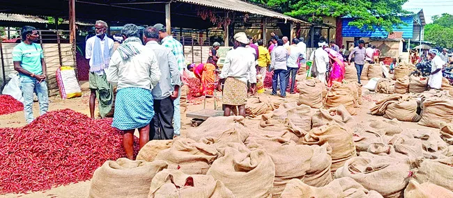 మిర్చి ఎక్కువ.. ధర తక్కువ
