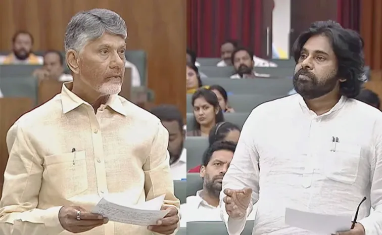 ఏపీ అసెంబ్లీలో తప్పుడు లెక్కలు.. అనవసర ప్రసంగాలు!