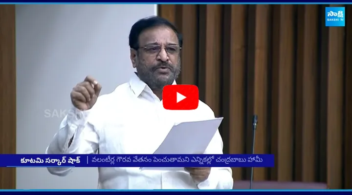 Chandrababu Govt Shocking Statement About AP Volunteers In Legislative Council Meeting