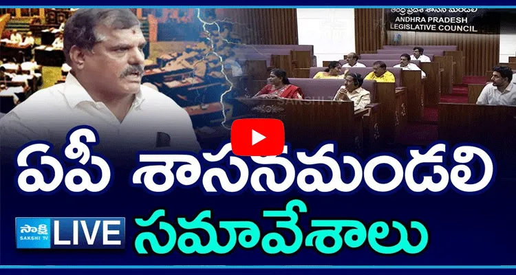 Watch Live AP Legislative Council Sessions 9th Day4