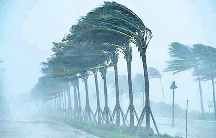 Rains in South Coast and Rayalaseema