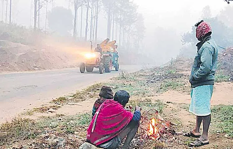 ఏజెన్సీ గజగజ