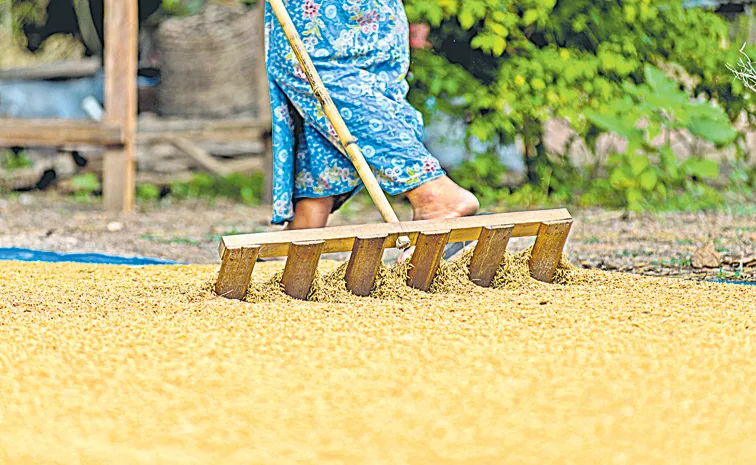 మిల్లర్లపై ఉక్కుపాదం