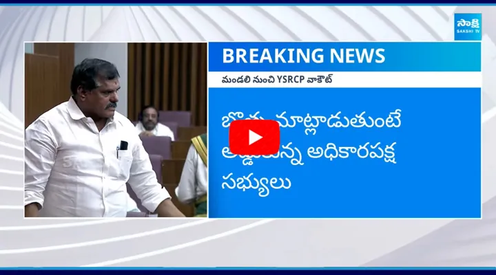 శాసన మండలి నుంచి వాకౌట్ చేసిన YSRCP